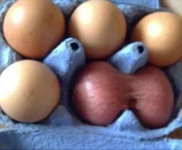 2. obrázek Hložánkovy vejce z Ulice - Naprosto EPESNÍ 
