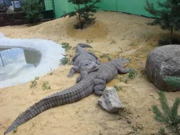 Obrázek Fotopark krokodýlů- Dolní Rožínka