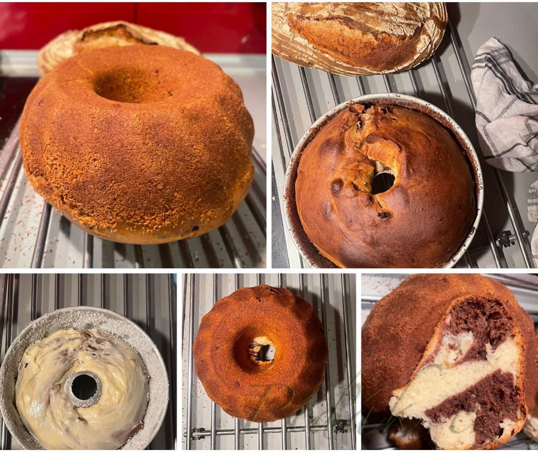 1. obrázek Kvásková kynutá bábovka z Lievito Madre 1. obrázek Kvásková kynutá bábovka z Lievito Madre