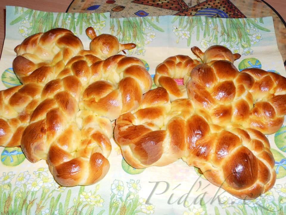 1. obrázek Kynutí motýlci 1. obrázek Kynutí motýlci