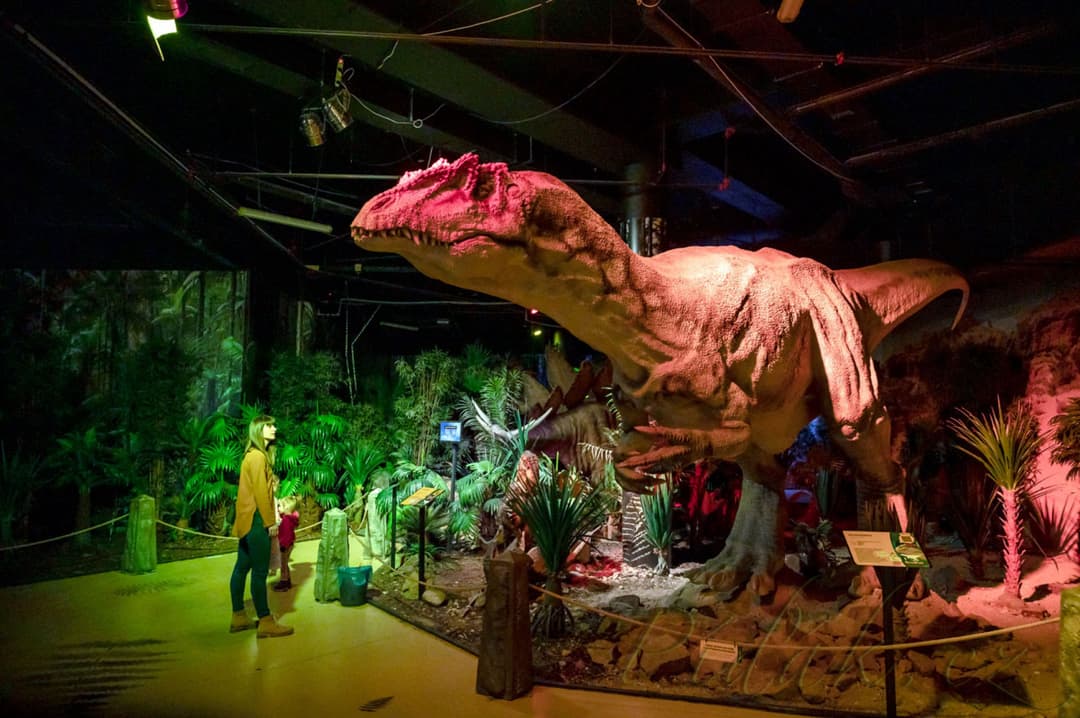 1. obrázek DinoPark Plaza Liberec 1. obrázek DinoPark Plaza Liberec