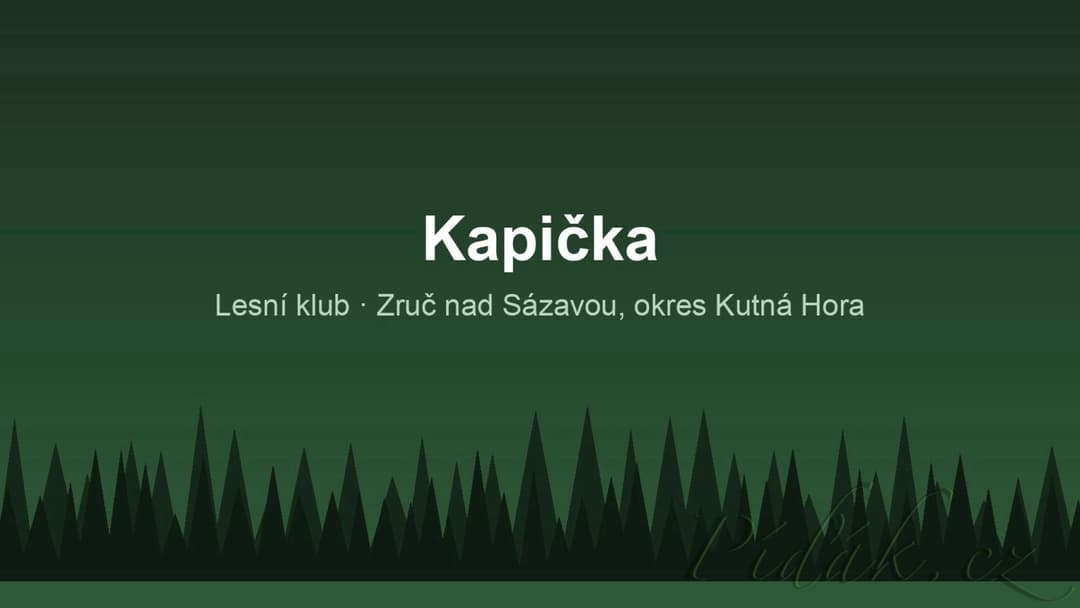 1. obrázek Kapička 1. obrázek Kapička