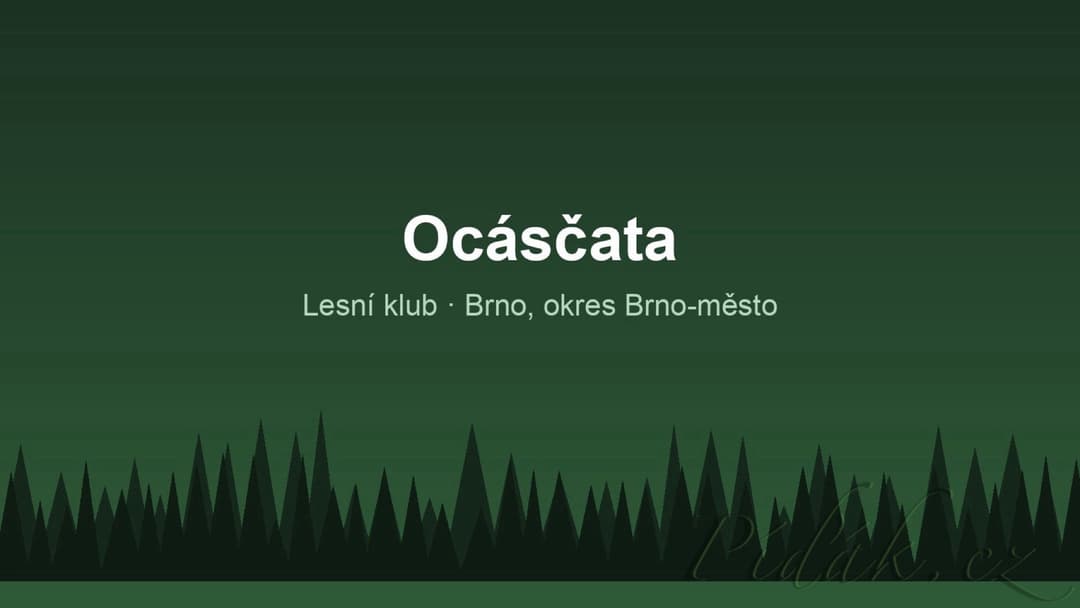 1. obrázek Ocásčata 1. obrázek Ocásčata