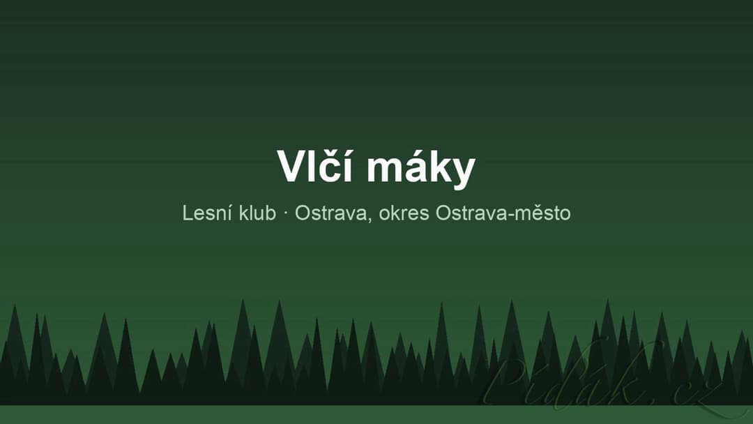 1. obrázek Vlčí máky 1. obrázek Vlčí máky