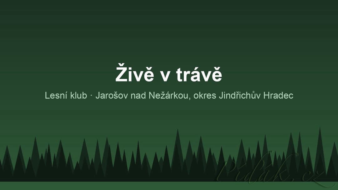 1. obrázek Živě v trávě 1. obrázek Živě v trávě