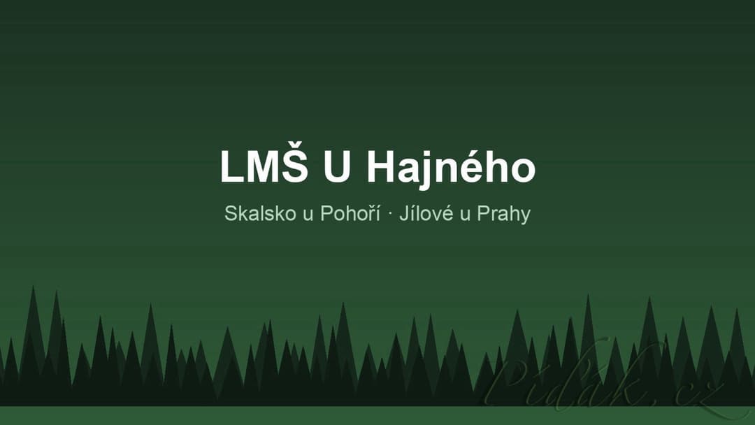 1. obrázek Lesní mateřská škola U Hajného 1. obrázek Lesní mateřská škola U Hajného