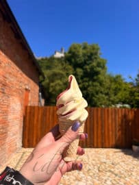 10. obrázek Hrad Bezděz 10. obrázek Hrad Bezděz