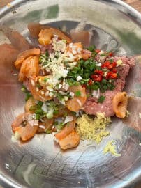 2. obrázek Dim sum knedlíčky s krůtím masem a krevetami 2. obrázek Dim sum knedlíčky s krůtím masem a krevetami