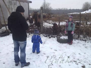 8. obrázek Minizoo- Milíčovský les- Praha 8. obrázek Minizoo- Milíčovský les- Praha