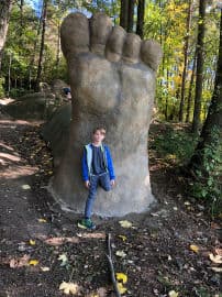 5. obrázek Lesopark Horka 5. obrázek Lesopark Horka