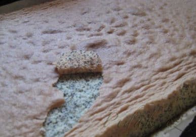 10. obrázek Francúzske medové rezy 10. obrázek Francúzske medové rezy