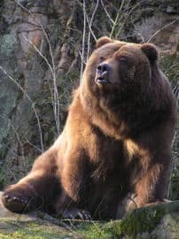 4. obrázek Zoo Děčín
4. obrázek Zoo Děčín