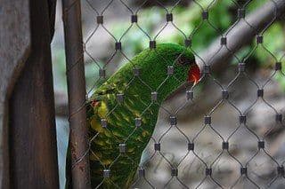 23. obrázek Zoologická zahrada Praha 23. obrázek Zoologická zahrada Praha