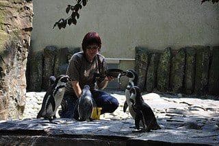 2. obrázek Zoologická zahrada Praha 2. obrázek Zoologická zahrada Praha