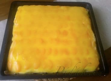 2. obrázek Žravé řezy 2. obrázek Žravé řezy