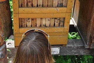 7. obrázek Zoologická zahrada Praha 7. obrázek Zoologická zahrada Praha