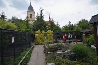 2. obrázek Rodinná Zoo Chleby 2. obrázek Rodinná Zoo Chleby