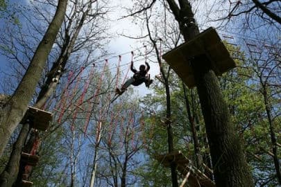 6. obrázek LC-Off Park- Sušice 6. obrázek LC-Off Park- Sušice
