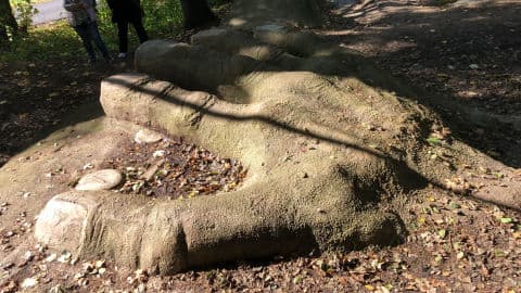 4. obrázek Lesopark Horka 4. obrázek Lesopark Horka