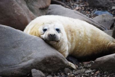 3. obrázek Zoopark Chomutov 3. obrázek Zoopark Chomutov