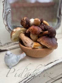 2. obrázek Kulajda 2. obrázek Kulajda