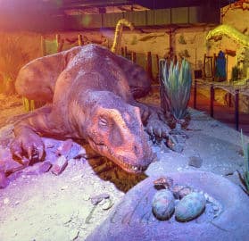 4. obrázek DinoPark Plaza Liberec 4. obrázek DinoPark Plaza Liberec