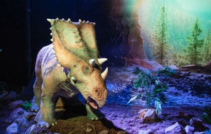 2. obrázek DinoPark Plaza Liberec 2. obrázek DinoPark Plaza Liberec