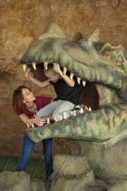 6. obrázek DinoPark Plaza Liberec 6. obrázek DinoPark Plaza Liberec