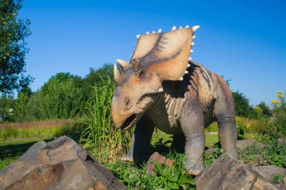 3. obrázek DinoPark Ostrava 3. obrázek DinoPark Ostrava