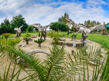 4. obrázek DinoPark Ostrava 4. obrázek DinoPark Ostrava