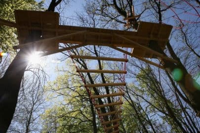 5. obrázek LC-Off Park- Sušice 5. obrázek LC-Off Park- Sušice