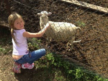 4. obrázek Minizoo- Milíčovský les- Praha 4. obrázek Minizoo- Milíčovský les- Praha