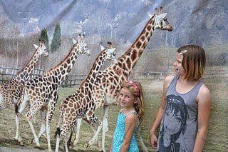 18. obrázek Zoologická zahrada Praha 18. obrázek Zoologická zahrada Praha