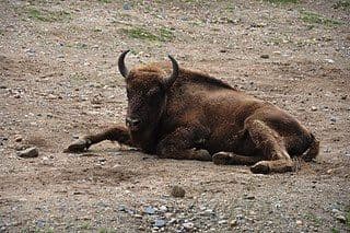 21. obrázek Zoologická zahrada Praha 21. obrázek Zoologická zahrada Praha