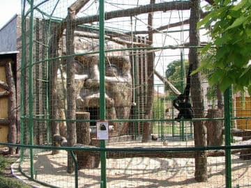 4. obrázek Rodinná Zoo Chleby 4. obrázek Rodinná Zoo Chleby