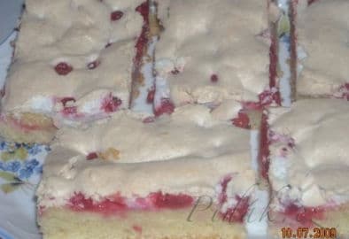 6. obrázek Zasněžená rybízová buchta - báječná a rychlá 6. obrázek Zasněžená rybízová buchta - báječná a rychlá