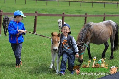 6. obrázek Farmapark Soběhrdy 6. obrázek Farmapark Soběhrdy