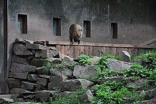 16. obrázek Zoologická zahrada Praha 16. obrázek Zoologická zahrada Praha