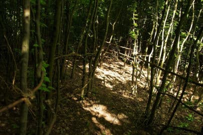 4. obrázek Na Dvorečku- Lety pod lesem 4. obrázek Na Dvorečku- Lety pod lesem