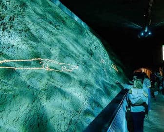 2. obrázek Svět zkamenělin Stetten – Fossilienwelt Weinviertel, Rakousko 2. obrázek Svět zkamenělin Stetten – Fossilienwelt Weinviertel, Rakousko
