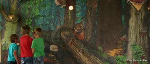 5. obrázek Dům divočiny Ludwigsthal – Haus zur Wildnis, centrum NP Bavorský les Falkenstein, Německo 5. obrázek Dům divočiny Ludwigsthal – Haus zur Wildnis, centrum NP Bavorský les Falkenstein, Německo