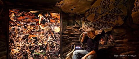 3. obrázek Dům divočiny Ludwigsthal – Haus zur Wildnis, centrum NP Bavorský les Falkenstein, Německo 3. obrázek Dům divočiny Ludwigsthal – Haus zur Wildnis, centrum NP Bavorský les Falkenstein, Německo