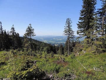 2. obrázek Hochficht – lyžařská a turistická oblast na rakouské straně Šumavy 2. obrázek Hochficht – lyžařská a turistická oblast na rakouské straně Šumavy