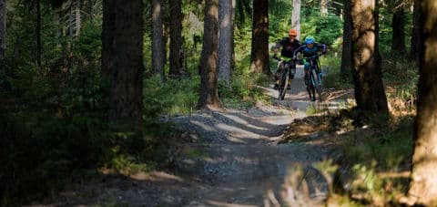 3. obrázek Klínovec – Trail Park a letní provoz lanovky, Krušné hory 3. obrázek Klínovec – Trail Park a letní provoz lanovky, Krušné hory