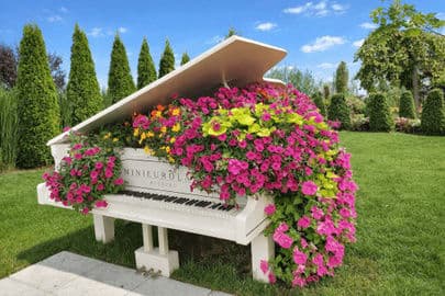 4. obrázek Minieuroland Kladsko – park miniatur s papouščárnou, Polsko 4. obrázek Minieuroland Kladsko – park miniatur s papouščárnou, Polsko