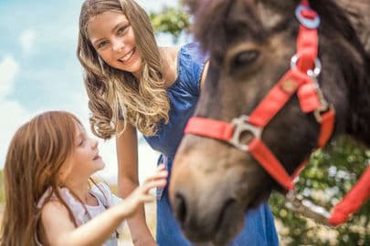 2. obrázek Schloss Hof – barokní zámek se statkem a zvířaty, Rakousko 2. obrázek Schloss Hof – barokní zámek se statkem a zvířaty, Rakousko
