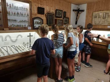3. obrázek Zámecké muzeum Freistadt – Mühlviertler Schlossmuseum s věží, Rakousko 3. obrázek Zámecké muzeum Freistadt – Mühlviertler Schlossmuseum s věží, Rakousko