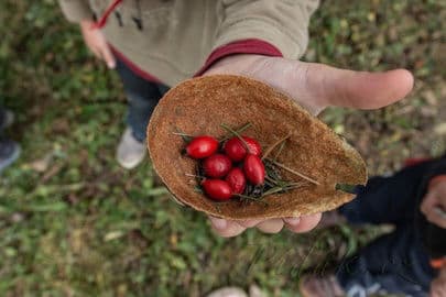 2. obrázek Lesní mateřská škola Kudlibabka 2. obrázek Lesní mateřská škola Kudlibabka