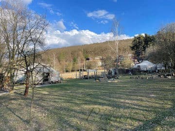 4. obrázek LMŠ Na dvorečku, Jeden strom z.ú. 4. obrázek LMŠ Na dvorečku, Jeden strom z.ú.
