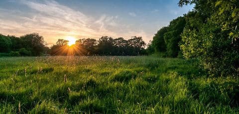 2. obrázek Lesní mateřská škola Sofisa 2. obrázek Lesní mateřská škola Sofisa